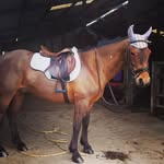 Grace Egan - @graceegan703 - Instagram