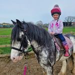 Grace Egan - @graces_animal_diaries - Instagram