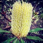 Rebekah Grace Eldridge - @goodness_and_grace_naturopathy - Instagram