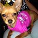 Lexi Grace Estep - Facebook
