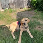 Gracie Everson - @everson_gracie - Instagram