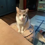 Mary-Grace Feeney - @marygracefeeney - Instagram