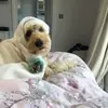 Grace.ferrell.xox - @grace.ferrell.xo - TikTok