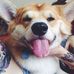 Grace Fetters - Facebook