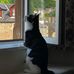 Grace Forbes - Facebook