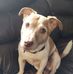 Grace Forbes - Facebook
