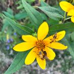 Grace Fortner - @gracef9220 - Instagram