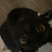 Gracie Fortner - Facebook