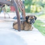 Lucy Grace Fortner - @lil_boosie_lucy - Instagram