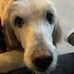 Grace Fosse - Facebook