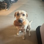 grace gaffney - @gracegaffs - Instagram