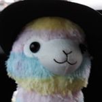 Grace Gaffney - @love_llama212 - Instagram