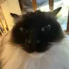 grace - @gracegaffney - TikTok