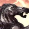 Gale Grace - @gale_grace_thehorse - TikTok