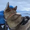 Grace and Gale - @grace.and.gale - TikTok