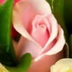 Grace Gamez Asong - Facebook