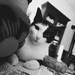 @_grace_gatto_ - Instagram
