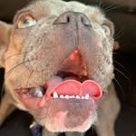 Emma grace gebhardt - @emmagrace347 - Instagram