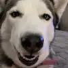 grace - @gracegeerr - TikTok