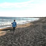 Grace Gentile - @gravega19 - Instagram
