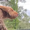 gracie - @gracegerber2 - TikTok