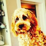 Grace Gibb - @matilda.gibb - Instagram
