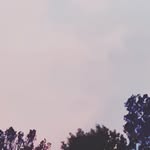 Grace Gillespie - @gracegillespie65 - Instagram