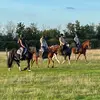 Grace x - @grace.gillespie.x - TikTok