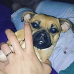 Grace Gleave - @grace_gummy543 - Instagram