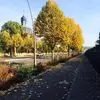 Grace Gold - @grace.gold76 - TikTok