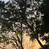 umm it’s grace - @grace.goss - TikTok
