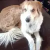 Grace Grimm - @grace.grimm3 - TikTok