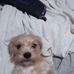 Grace Guy - Facebook
