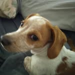 Grace Haggerty Fitzgerald - @grace.haggerty1 - Instagram
