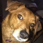 Daisy Grace Hamby - @dg.ham - Instagram