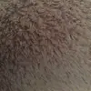 gracehamel - @gracehamel69 - TikTok