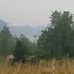 Grace Hardesty - Facebook