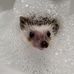 Grace Harrelson - Facebook