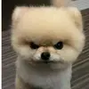 graceharry - @grace_does_life - TikTok