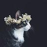Grace Hartley - @gracehartley22 - TikTok