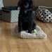 Grace Hebert - Facebook