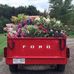 Grace O. Hebert - Facebook