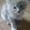 Clarissa Grace Hickman - @clarissa1249 - TikTok