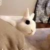 gracehickman21 - @gracehickman21 - TikTok