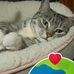 Grace Higginbotham - Facebook