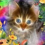 Laurie Grace Hinkle Newhart - @laurienewhart - Instagram