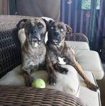 Grace Hoffmann - Facebook