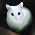 Grace Holman - @_white.kitty_ - Instagram
