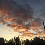 Grace HOLMAN - @xx_midnight.stars_xx - Instagram