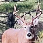 Chris Houck - Facebook